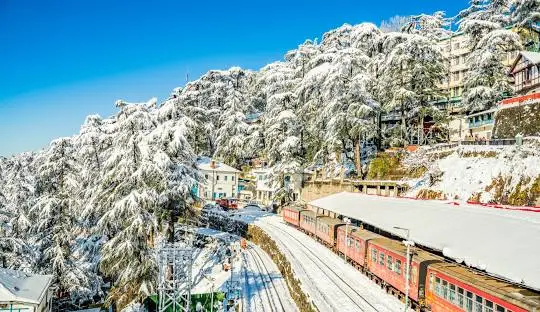 Delhi to Shimla